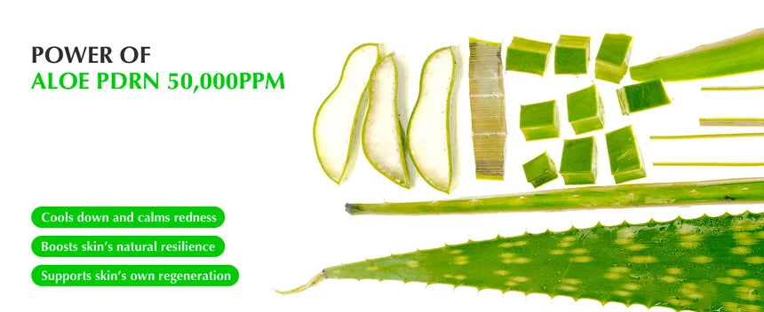 Eqqualberry Aloe PDRN Calming Serum 30Ml